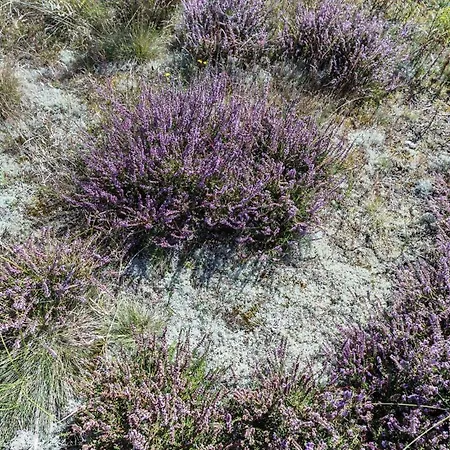 בית נופש 84159-ebeltoft-koravej-5